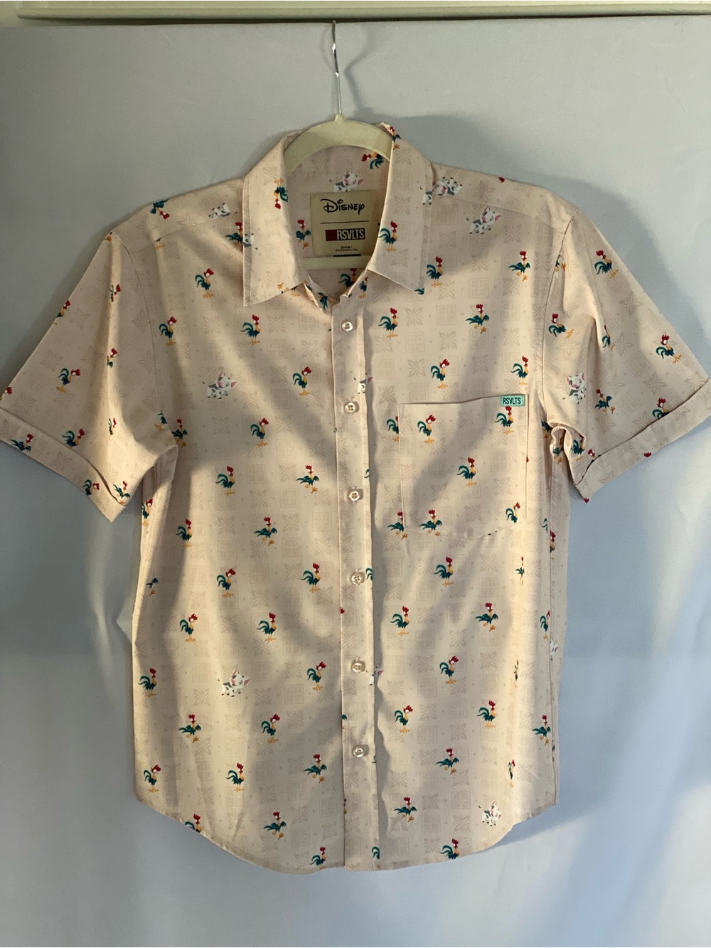 Disney XS Moana Shirt HeiHei and Pua Button Down shirt